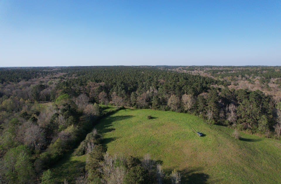 89 acres in San Augustine County - photo 12