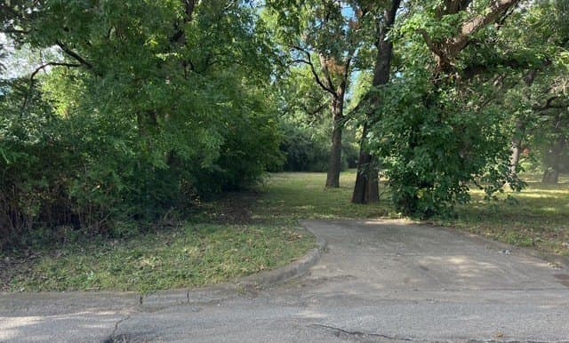 0.42 acres in Dallas County - photo 4