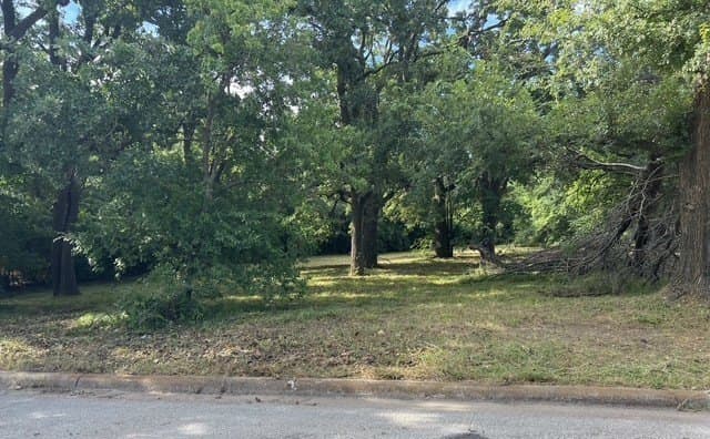 0.42 acres in Dallas County - photo 3