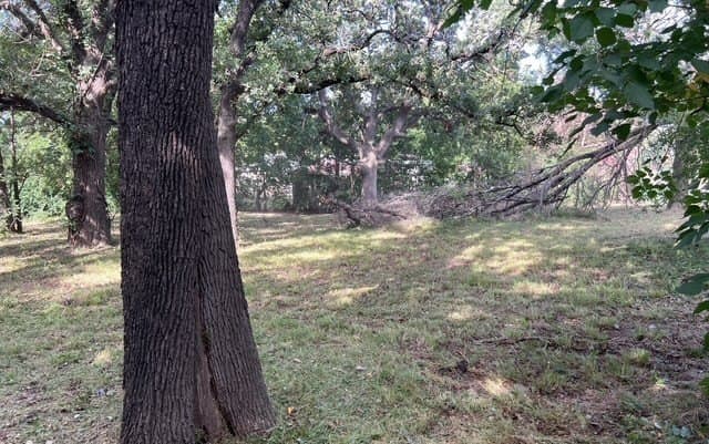 0.42 acres in Dallas County - photo 5