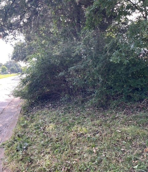 0.42 acres in Dallas County - photo 6