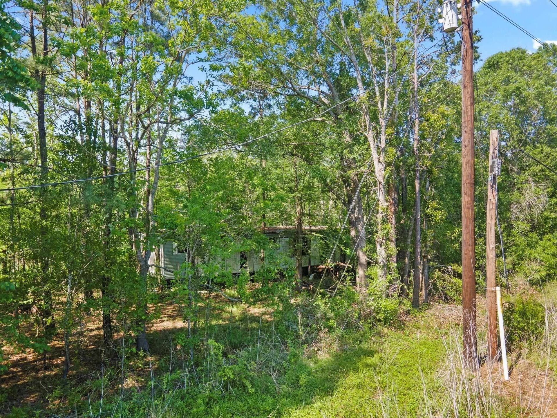 20 acres in Newton County gallery image 4