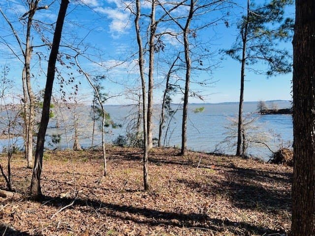 1.24 acres in Texas County - photo 7