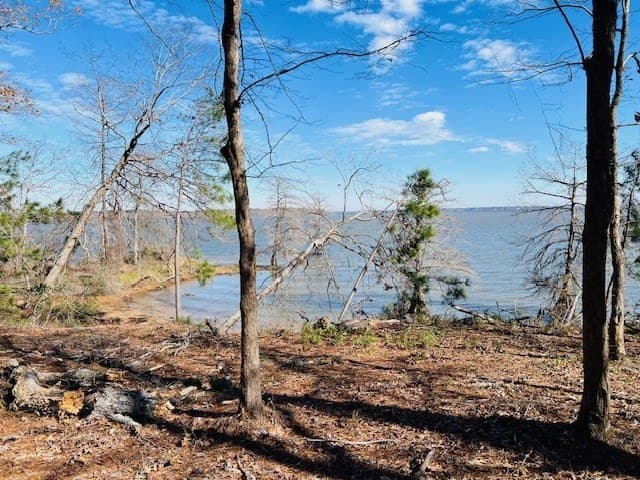 1.24 acres in Texas County - photo 6