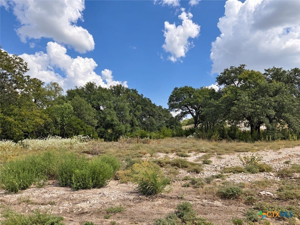 1.67 acres in Bell County - photo 3