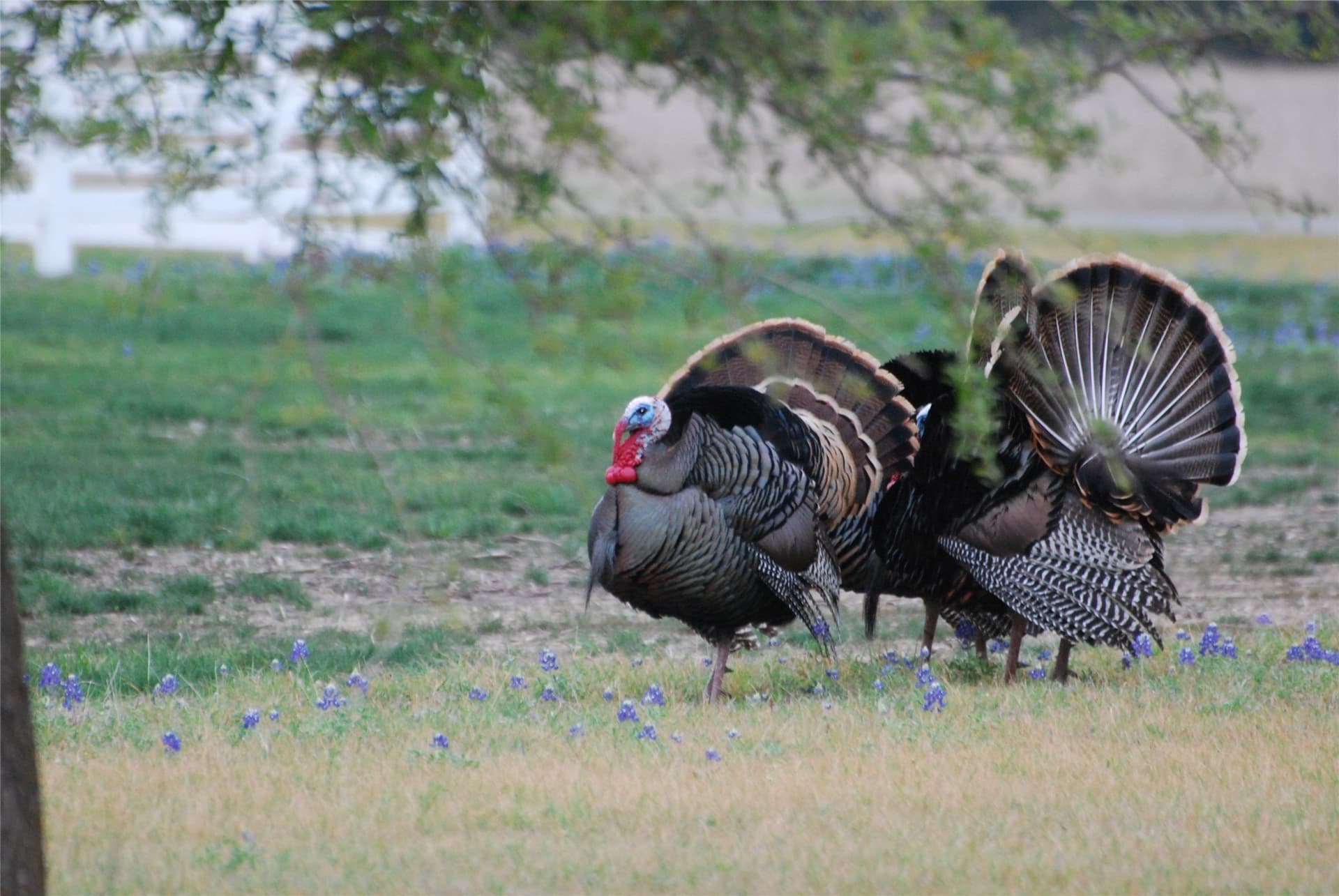 0.16 acres in Hill County - photo 9