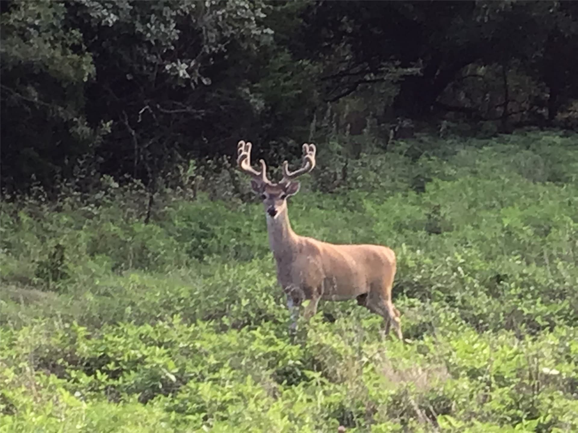 0.16 acres in Hill County - photo 10