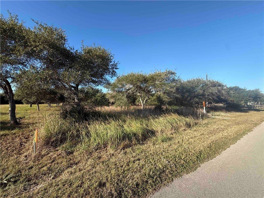 1.32 acres in San Patricio County gallery image 2