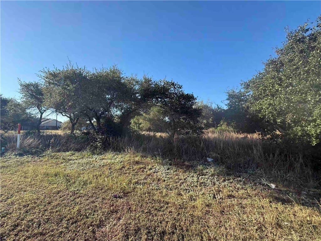 1.32 acres in San Patricio County featured view