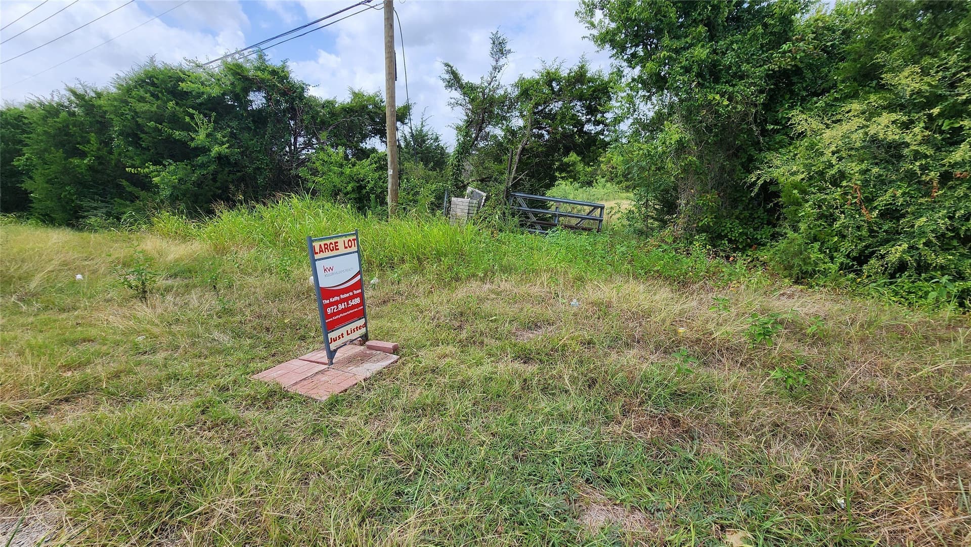 4.7 acres in Dallas County - photo 3