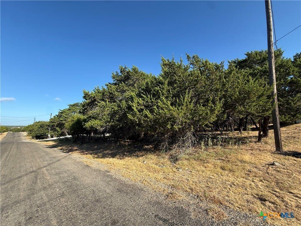 0.38 acres in Bell County - photo 3