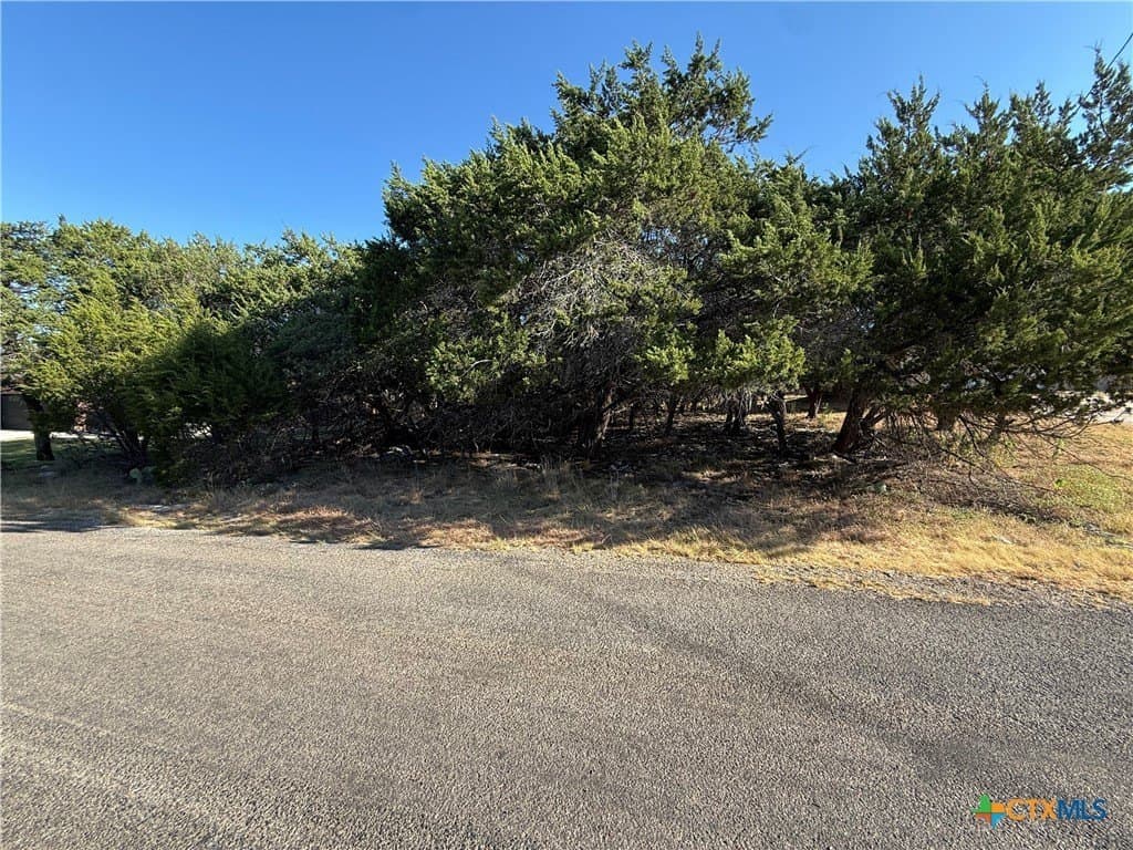 0.38 acres in Bell County - photo 2
