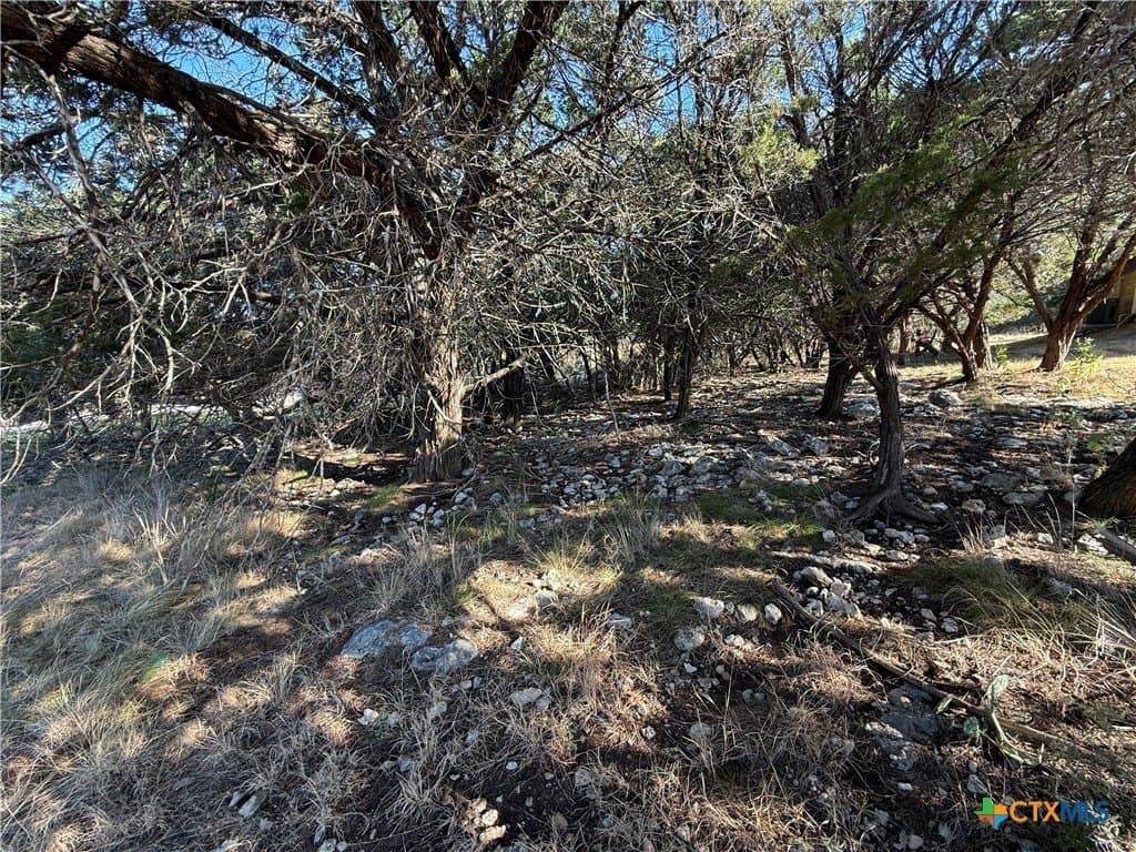 0.38 acres in Bell County - photo 5