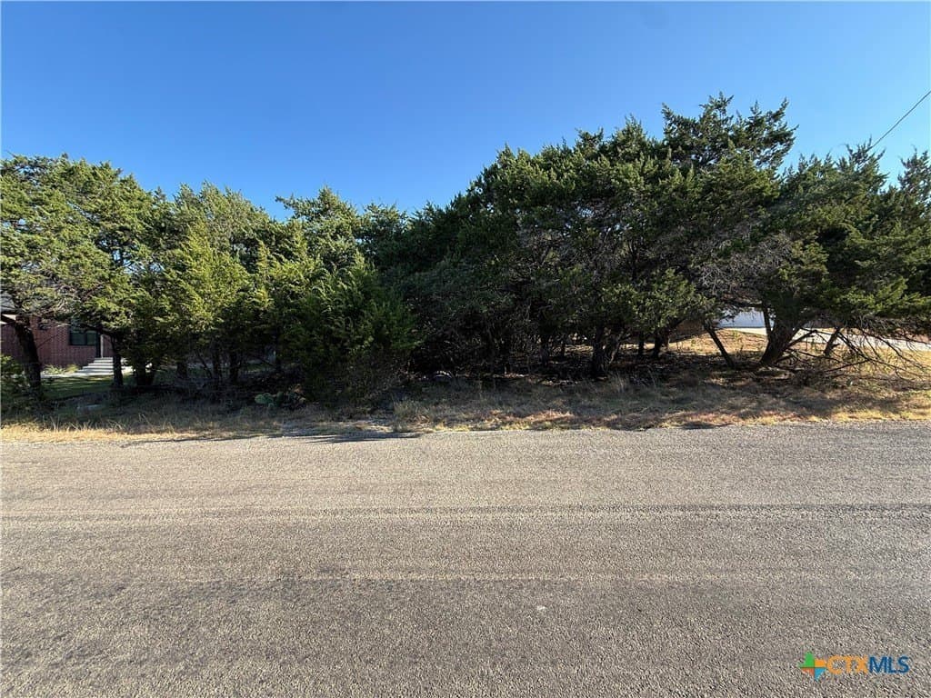 0.38 acres in Bell County - photo 4