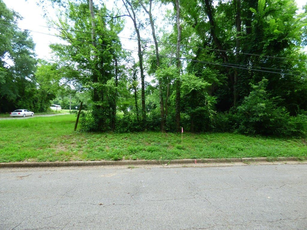 0.24 acres in Texas County gallery image 3