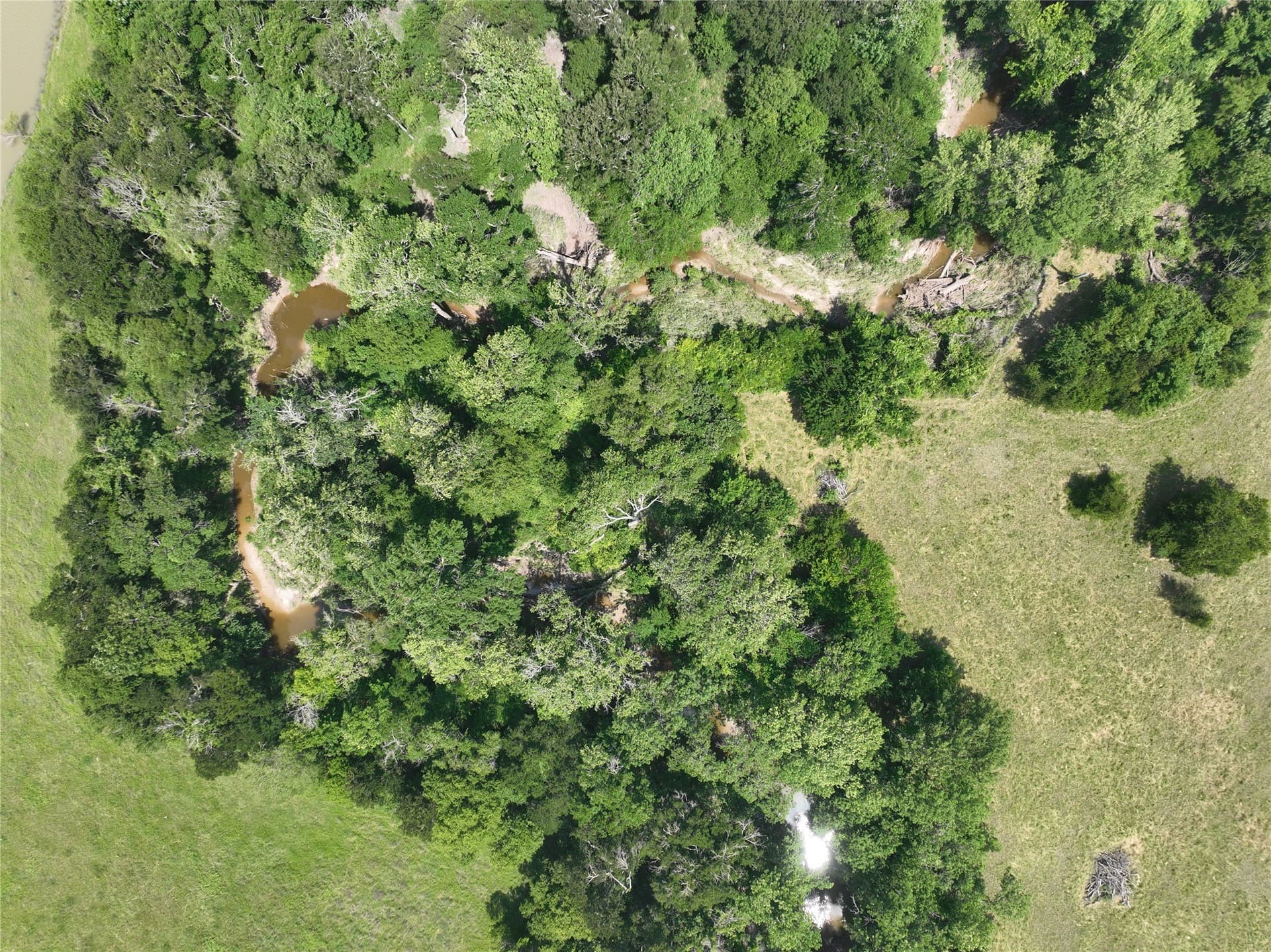 12.23 acres in Falls County gallery image 3