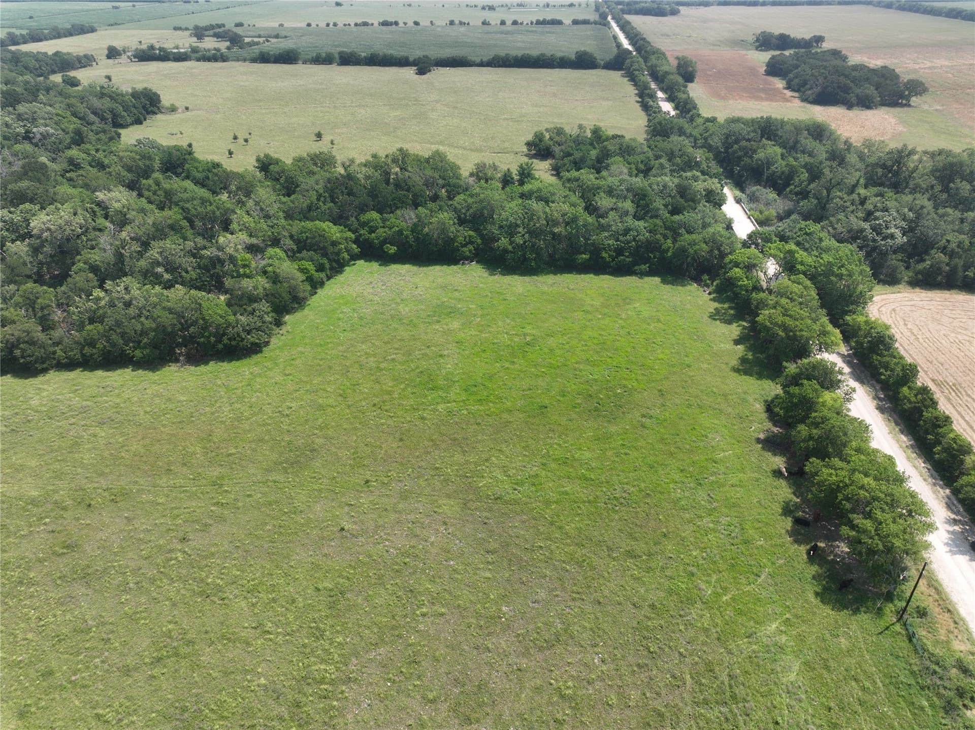 12.23 acres in Falls County - photo 10