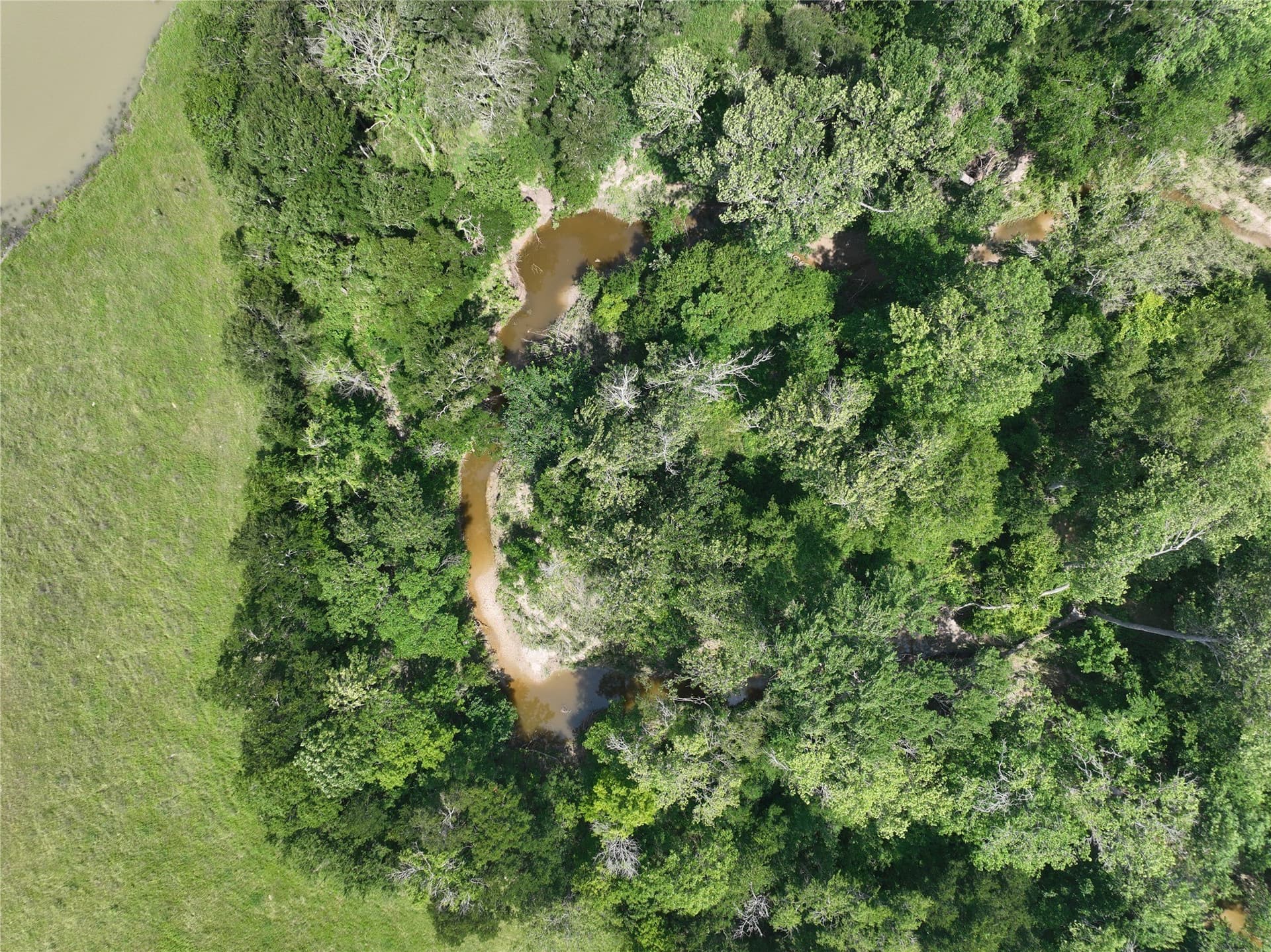 12.23 acres in Falls County - photo 11