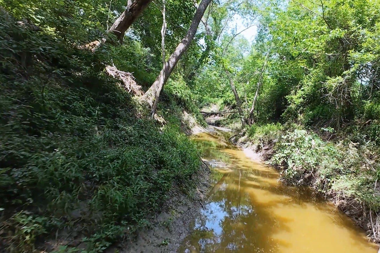 12.23 acres in Falls County gallery image 4