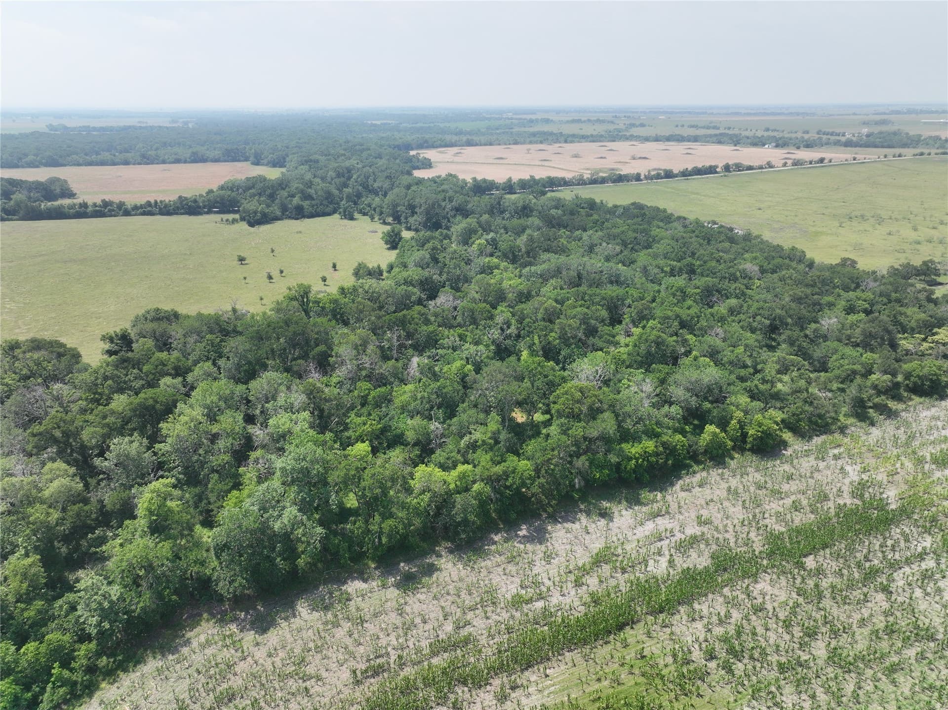 12.23 acres in Falls County - photo 13