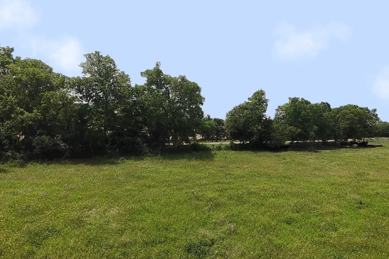 12.23 acres in Falls County - photo 8
