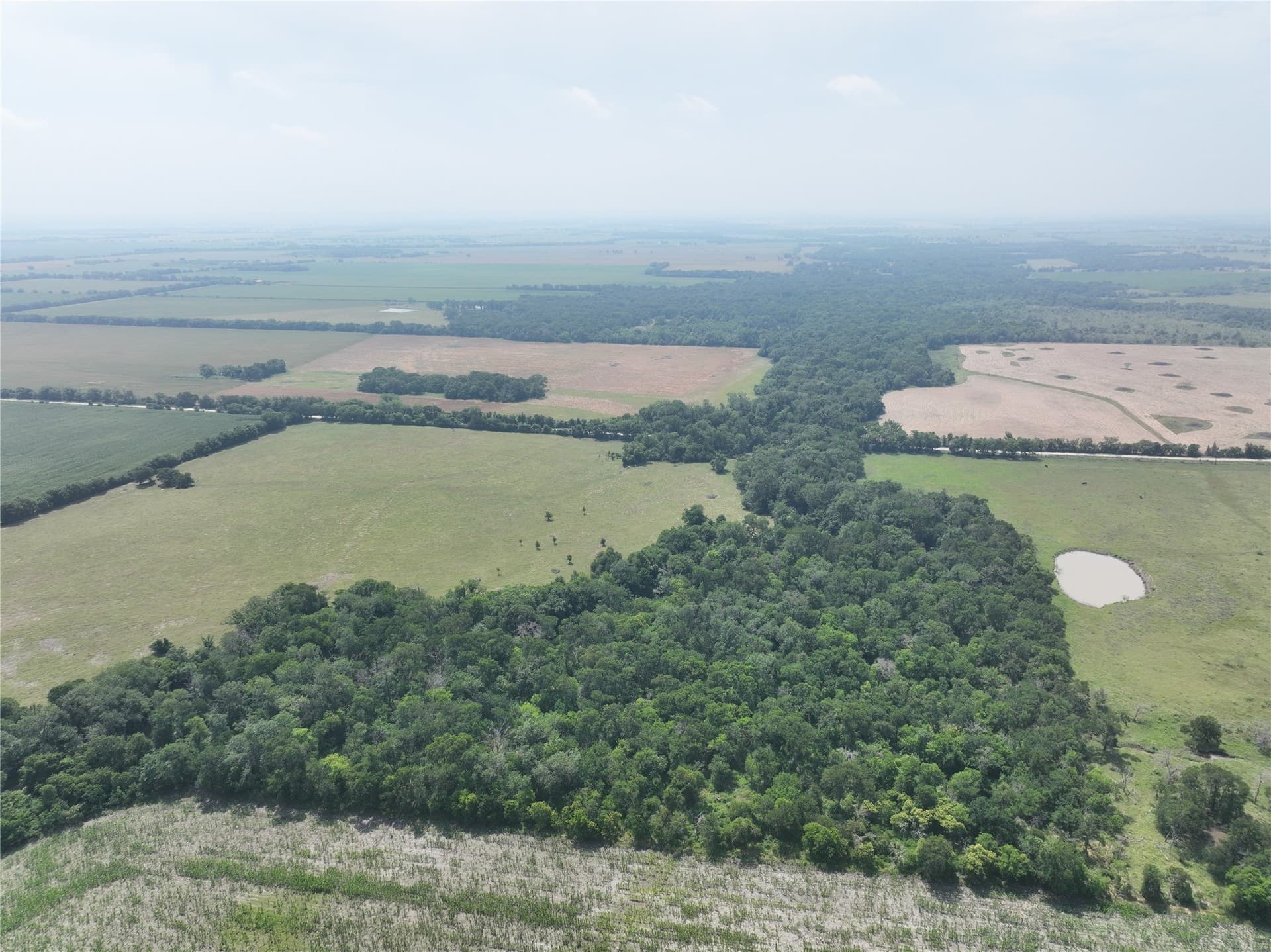 12.23 acres in Falls County - photo 14