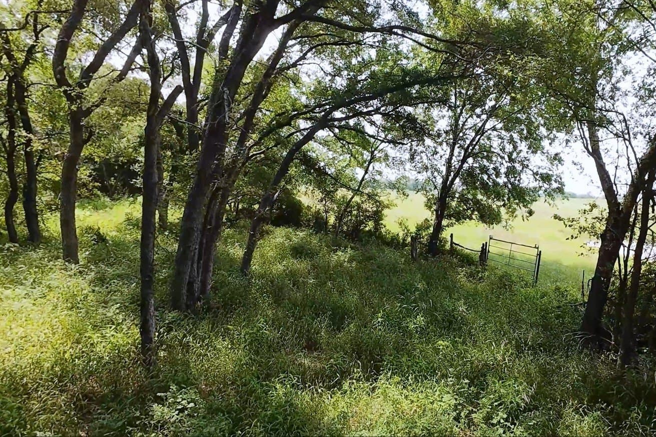 12.23 acres in Falls County - photo 9