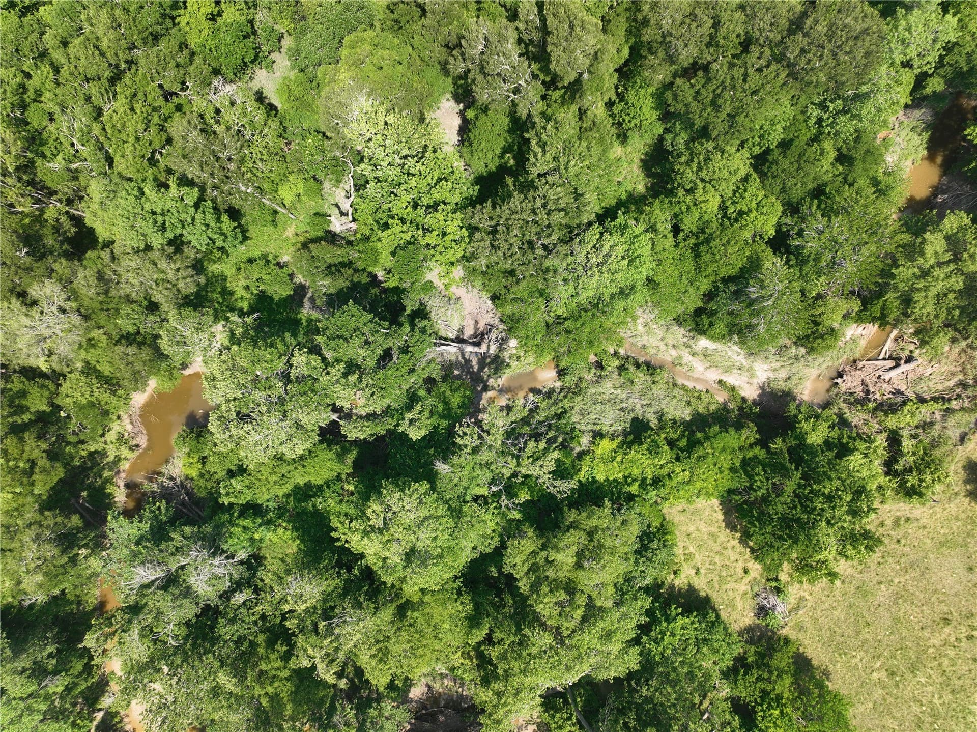 12.23 acres in Falls County - photo 12