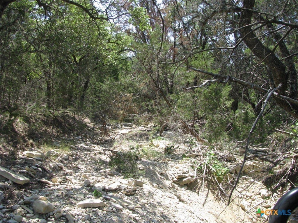 10.06 acres in Coryell County gallery image 3