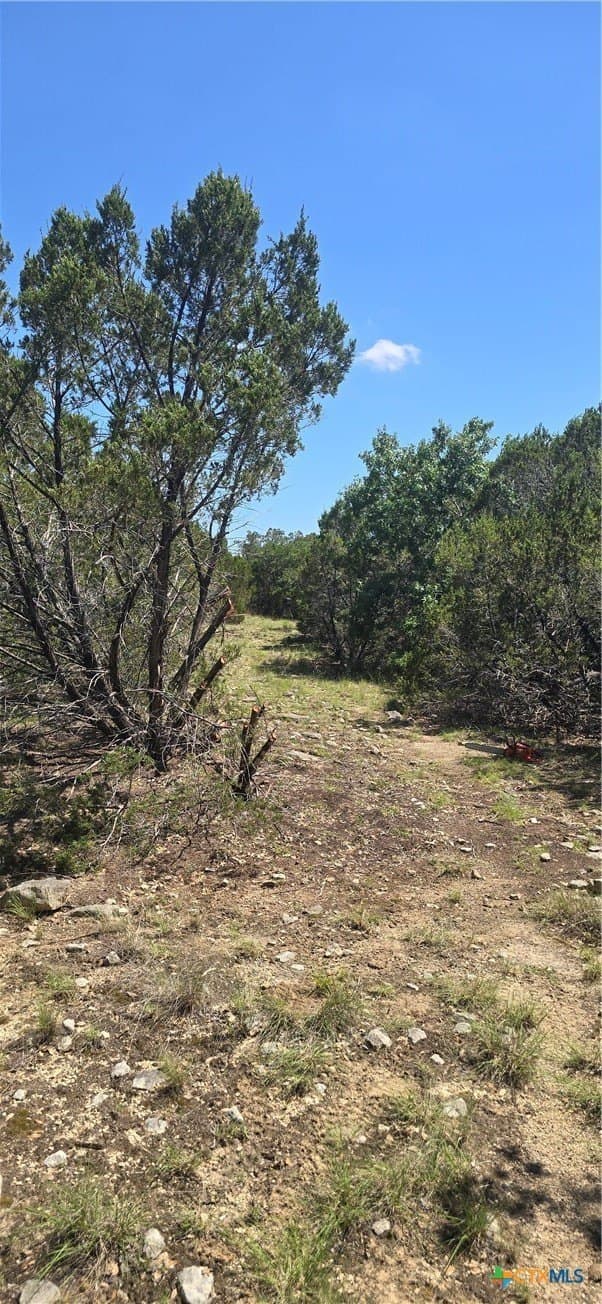 10.06 acres in Coryell County - photo 3