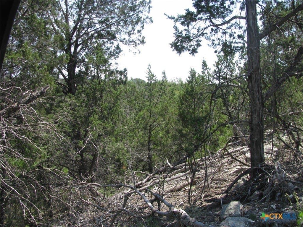 10.06 acres in Coryell County gallery image 2