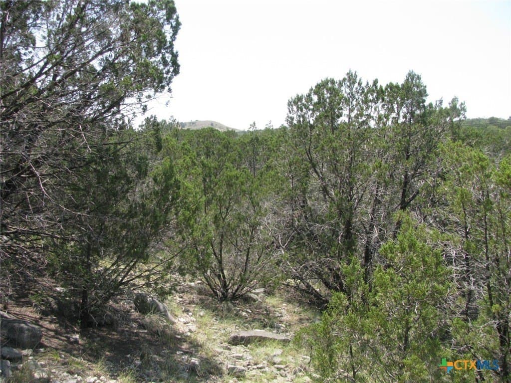 10.06 acres in Coryell County featured view