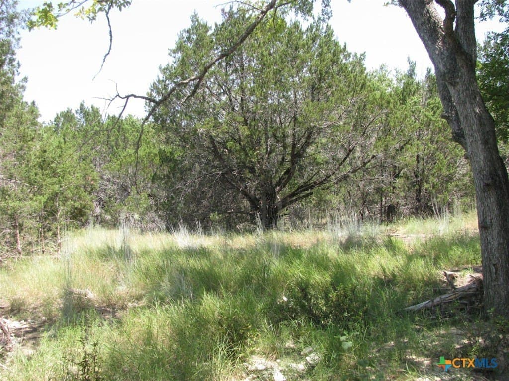 10.06 acres in Coryell County - photo 11