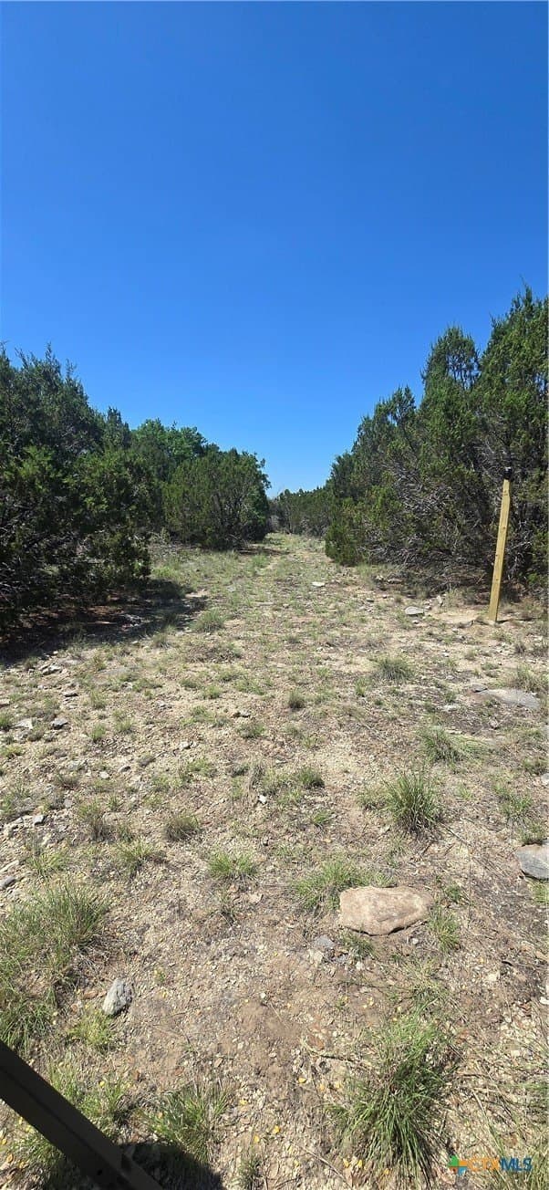 10.06 acres in Coryell County - photo 4