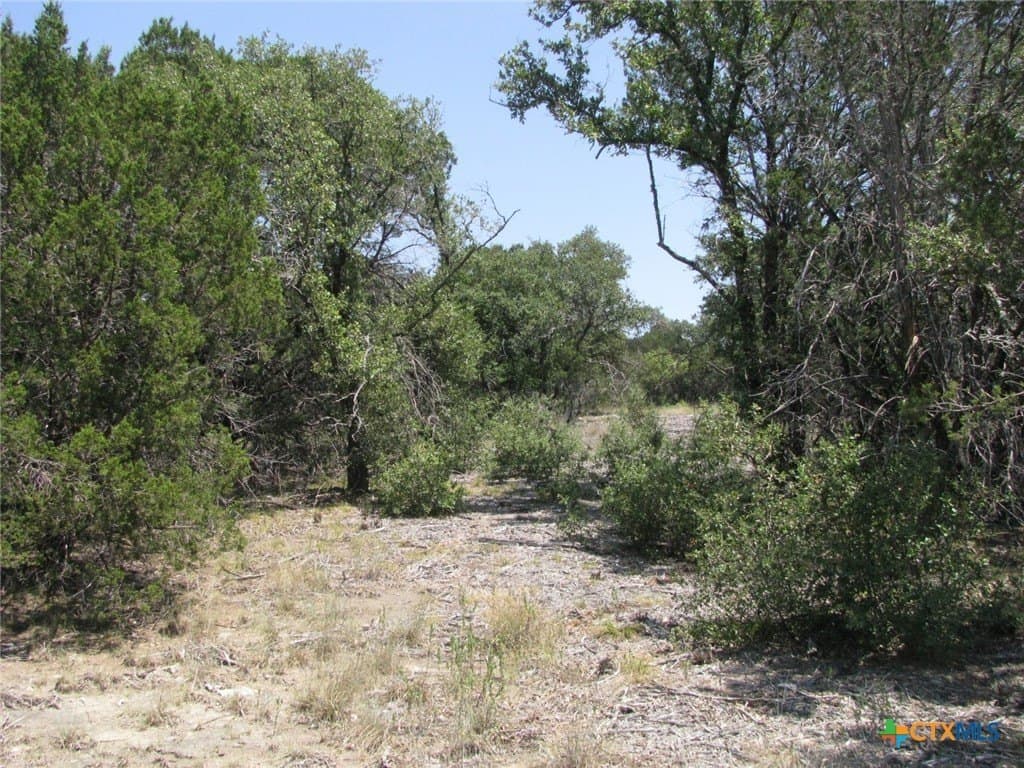 10.06 acres in Coryell County - photo 13