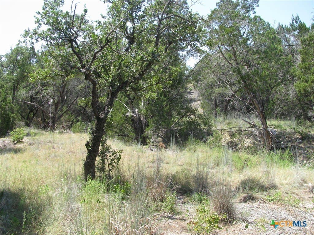 10.06 acres in Coryell County gallery image 4