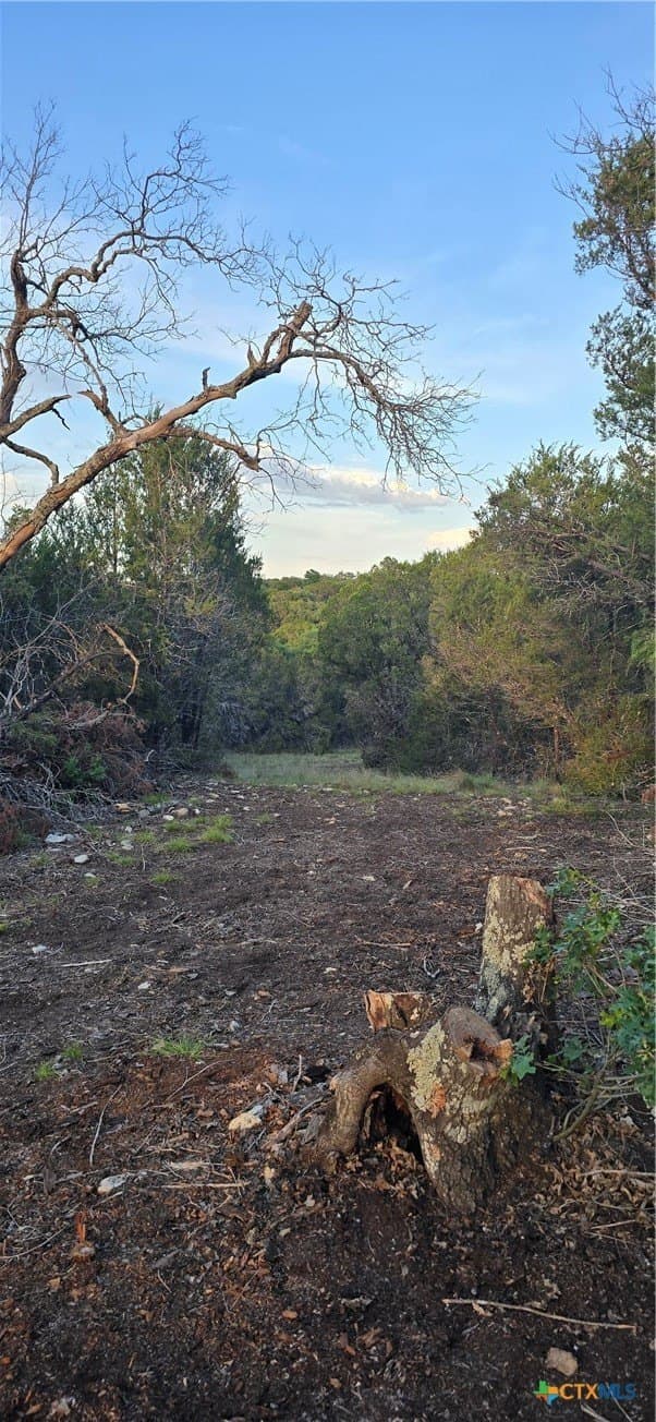 10.06 acres in Coryell County - photo 5