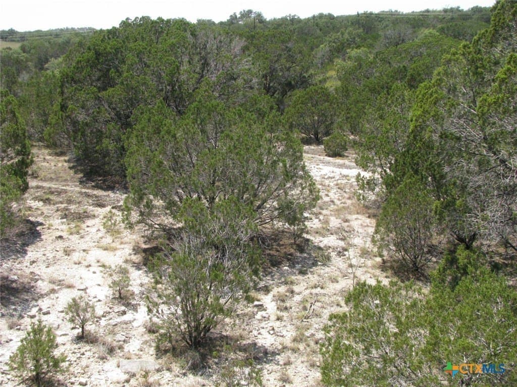 10.06 acres in Coryell County - photo 14