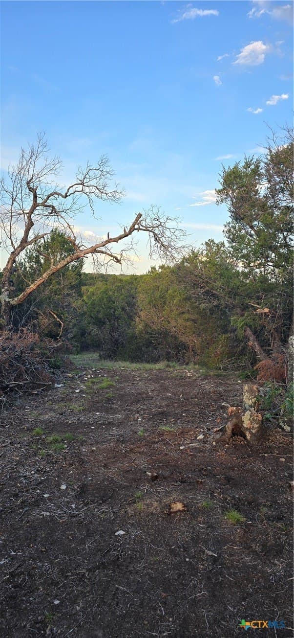 10.06 acres in Coryell County - photo 6