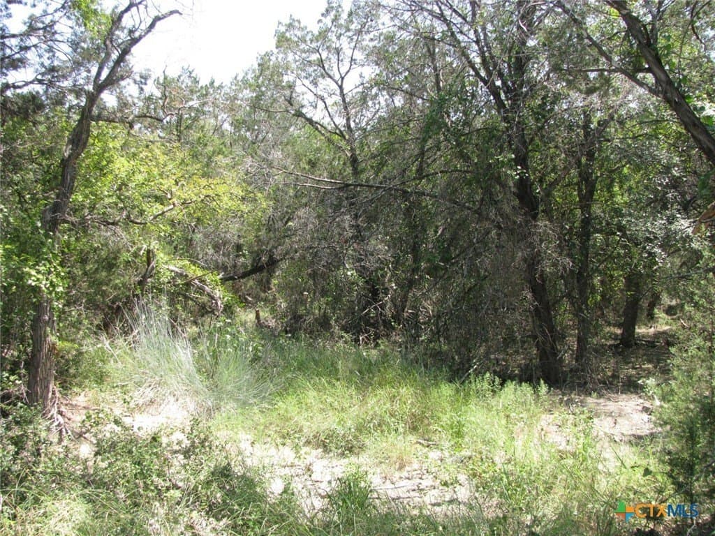10.06 acres in Coryell County - photo 10