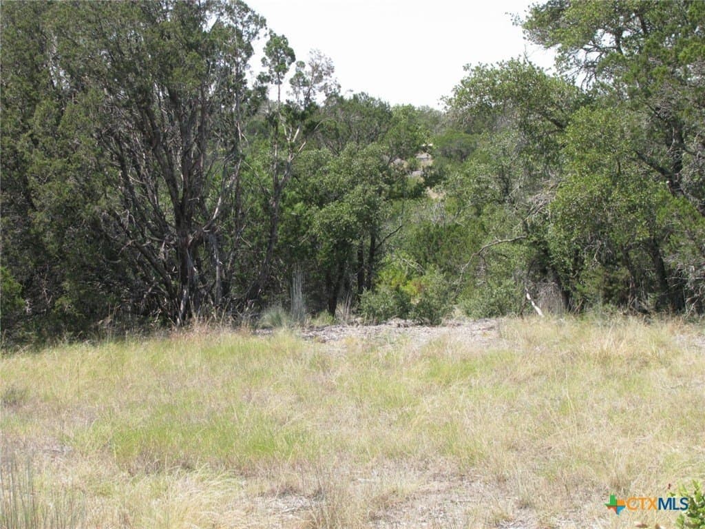 10.06 acres in Coryell County - photo 6