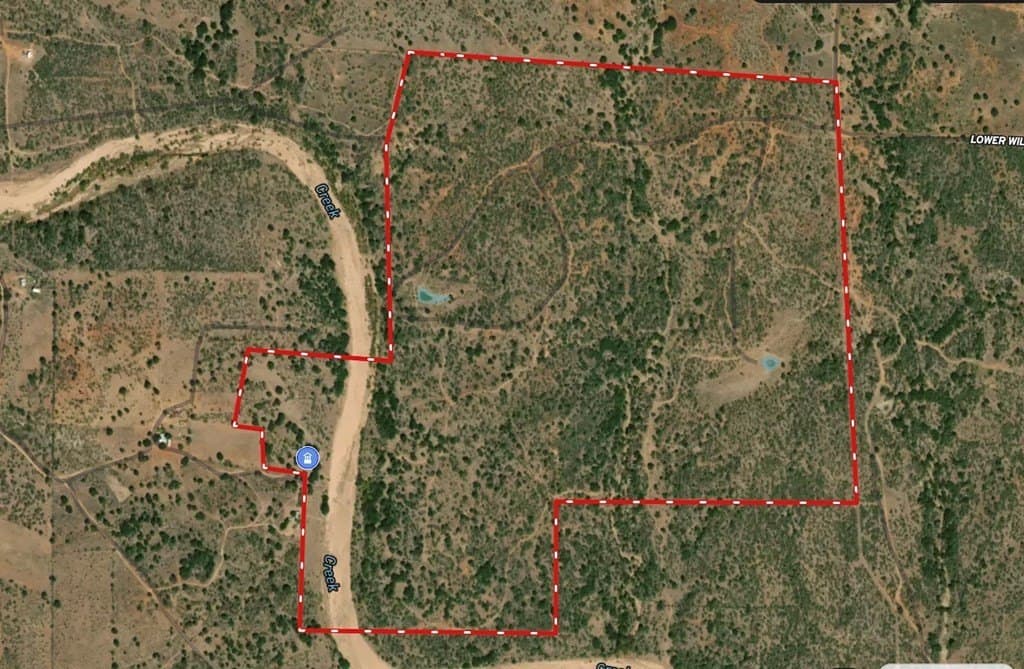 446 acres in Mason County gallery image 3