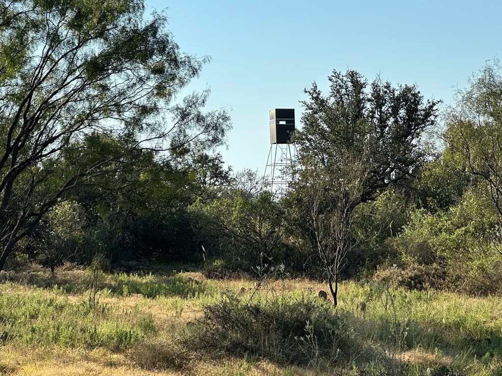 446 acres in Mason County gallery image 4