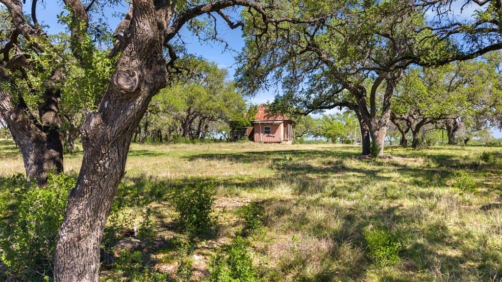 69 acres in Blanco County - photo 14