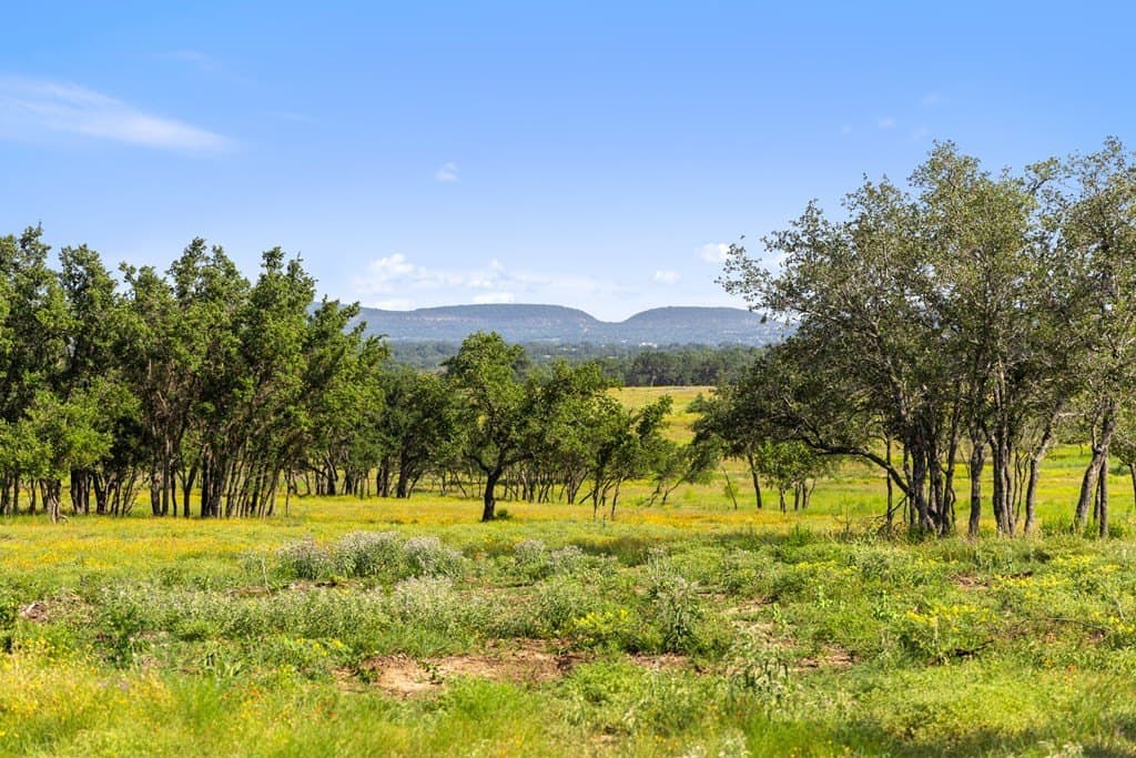 69 acres in Blanco County gallery image 2