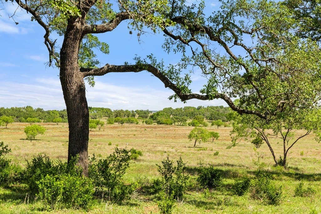 69 acres in Blanco County - photo 10