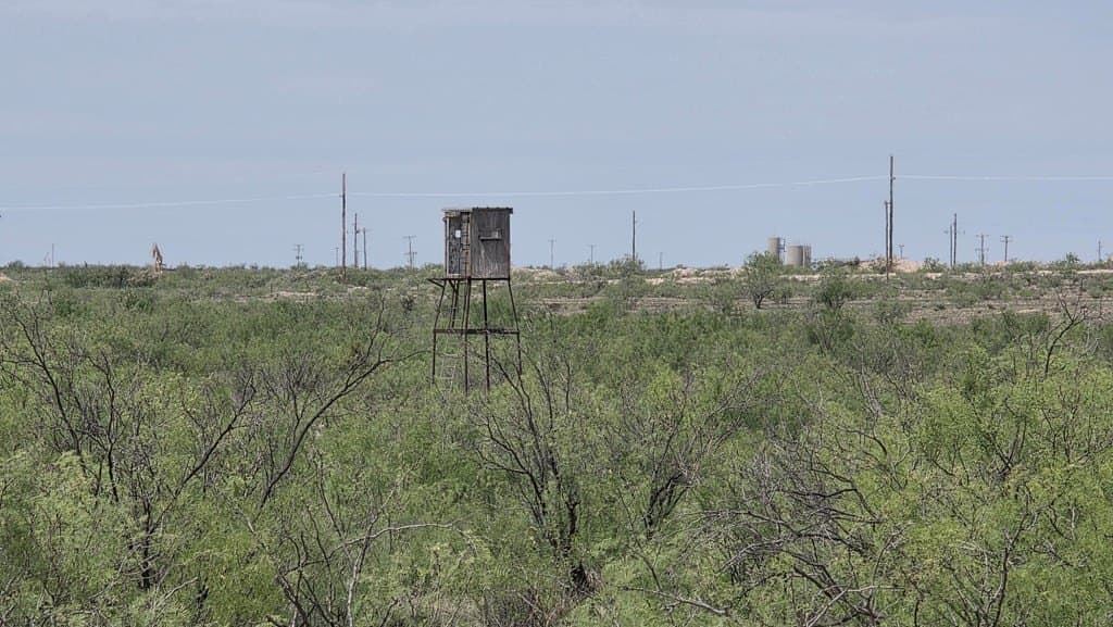 154.8 acres in Midland County gallery image 3