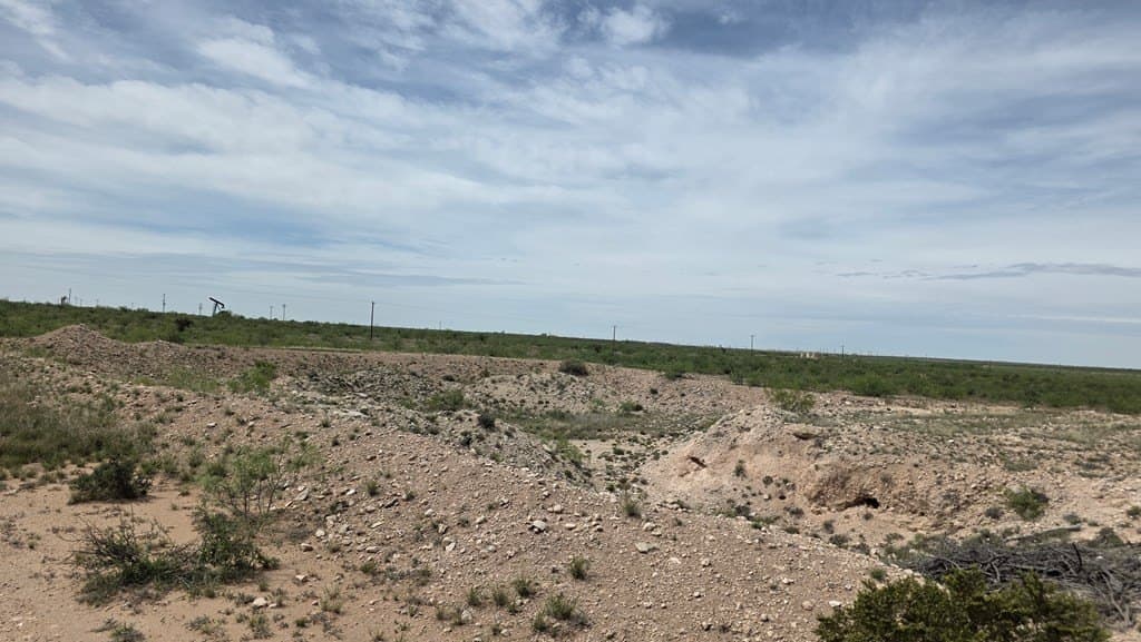 154.8 acres in Midland County gallery image 4