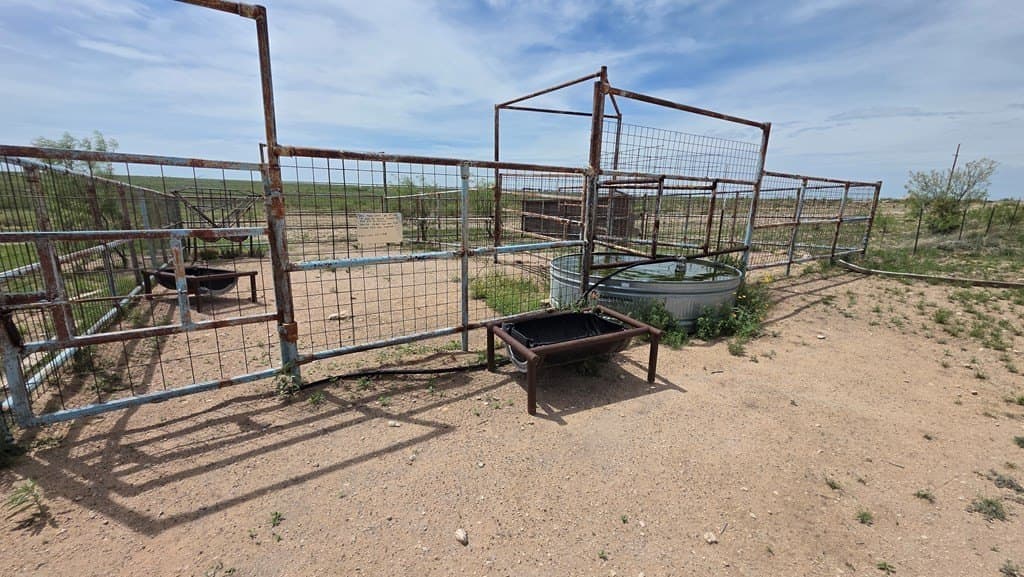 154.8 acres in Midland County featured view