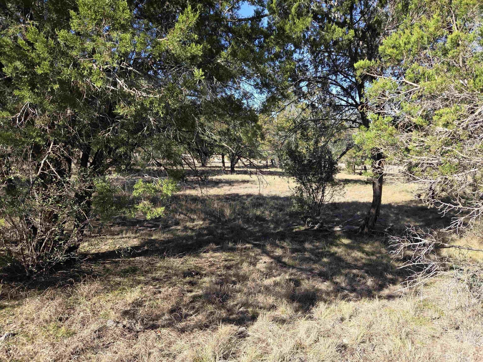 0.21 acres in Llano County - photo 6